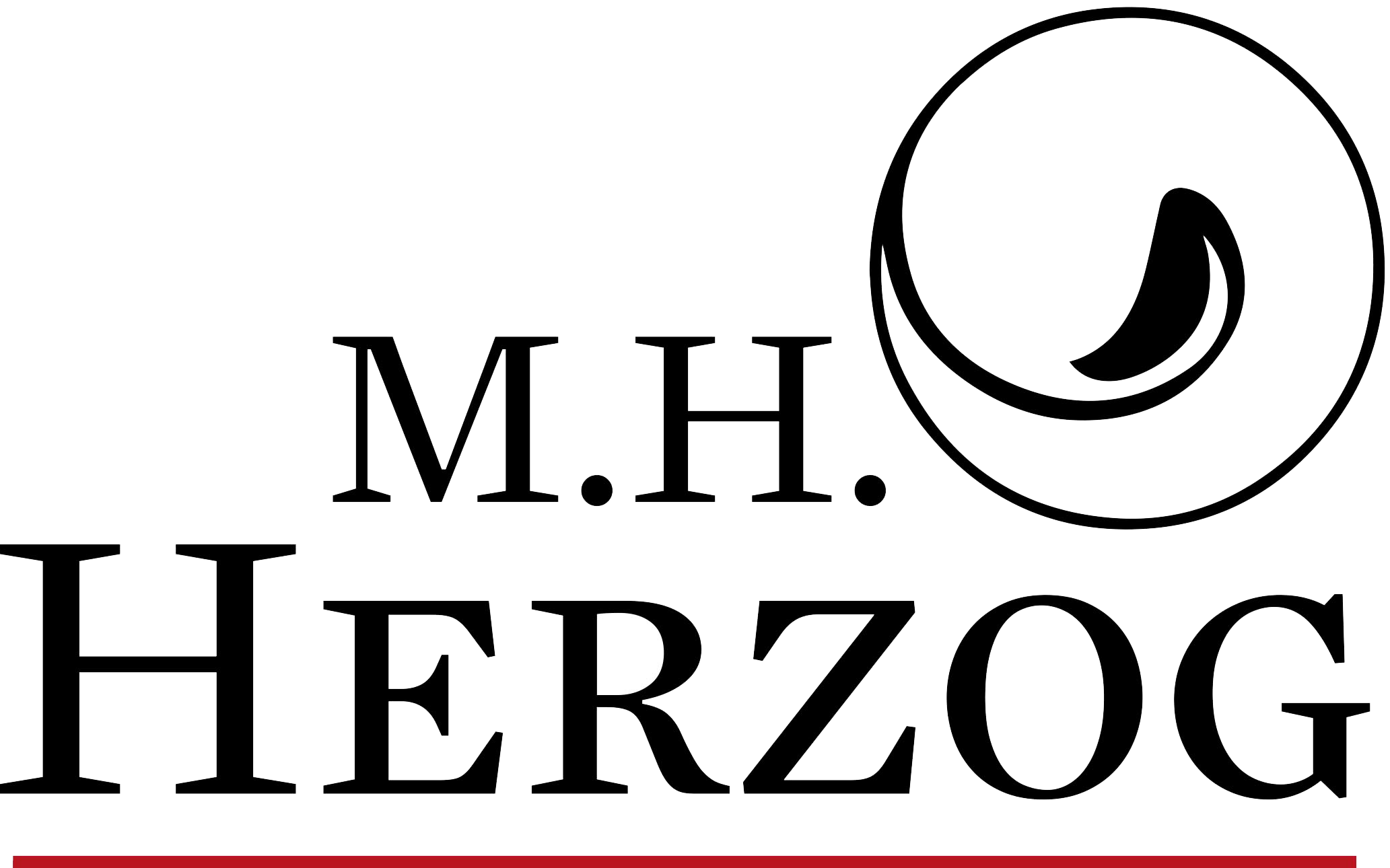 logo MH Nuevo